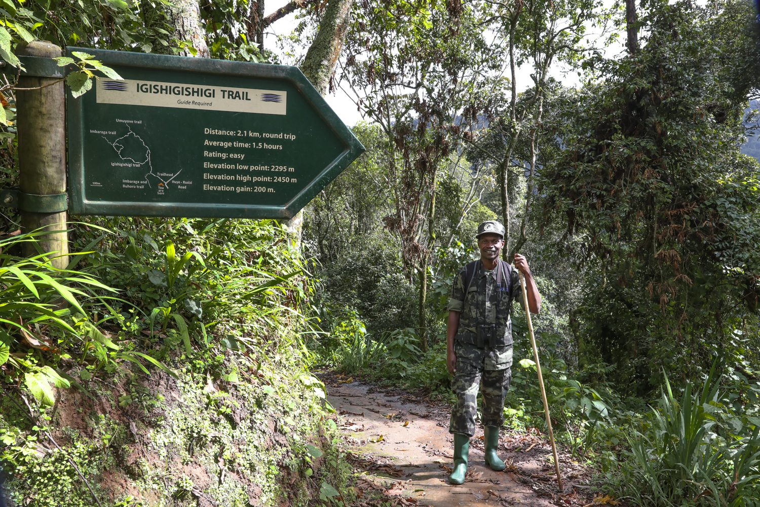 Activities to Combine with Chimpanzee Trekking in Nyungwe Forest National Park