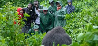 Top 8 Activities in Bwindi Impenetrable Forest