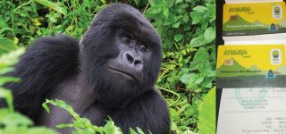 Travel Documents Required for Gorilla Trekking