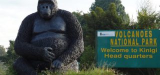 2022 Rwanda Gorilla Trekking Safaris