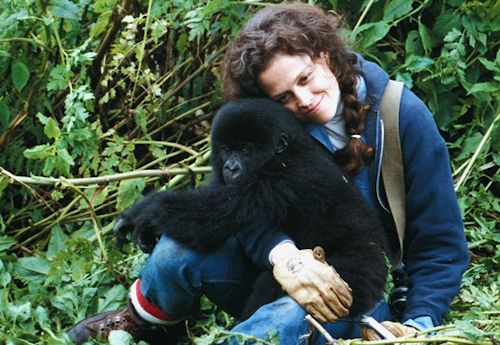 Dian Fossey Conservation Work in Rwanda