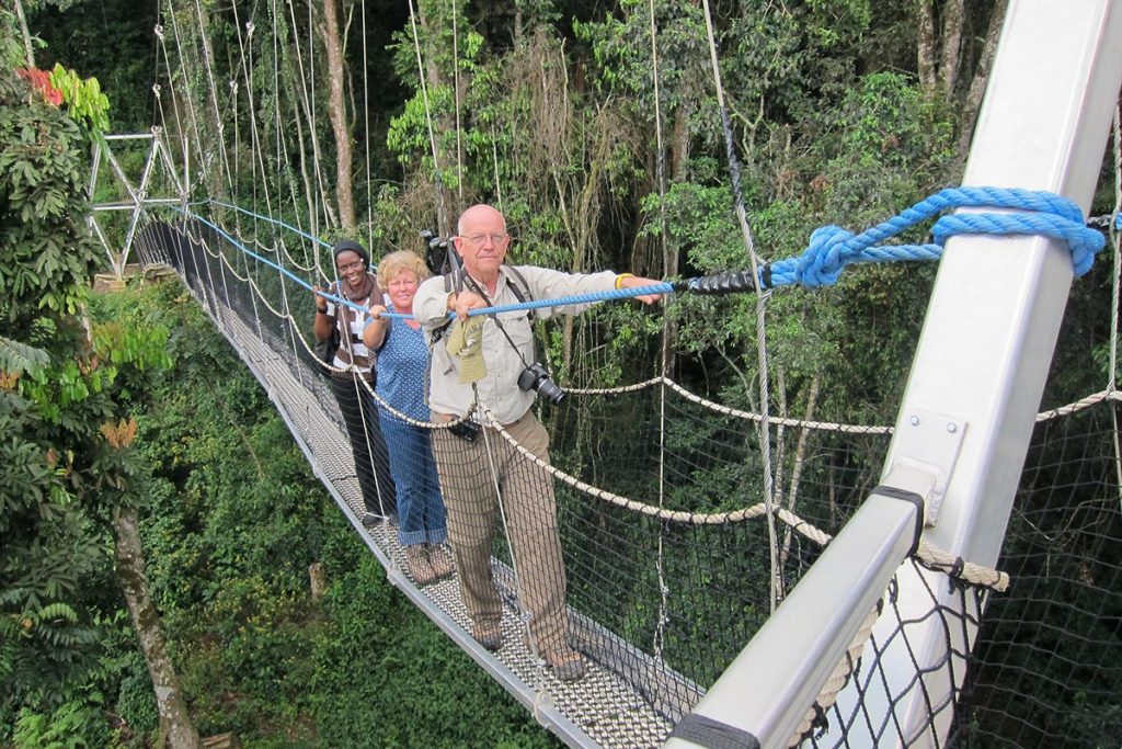 Nyungwe Forest National Park Becomes a World Heritage Site.
